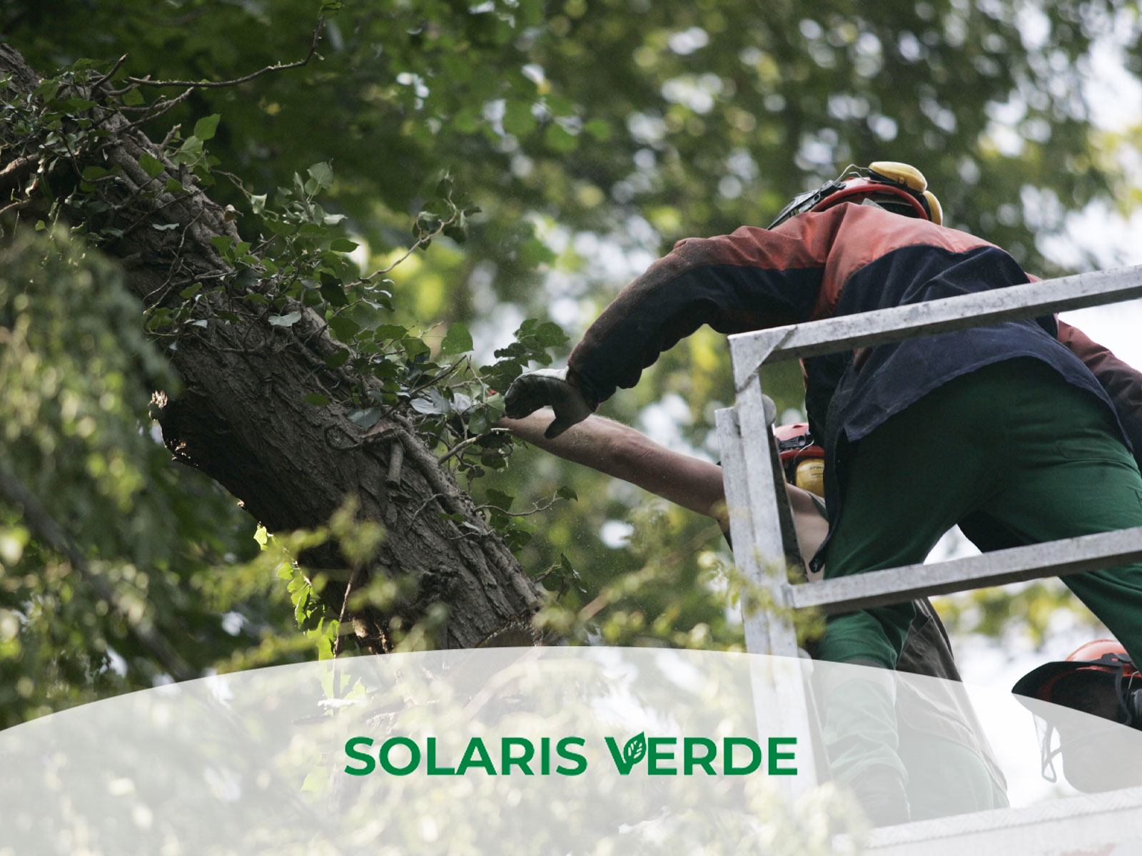 Solaris Smart